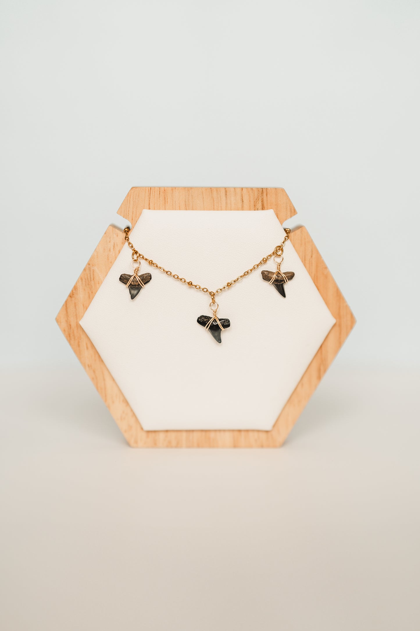 Charlotte | Waterproof Shark Tooth Necklace