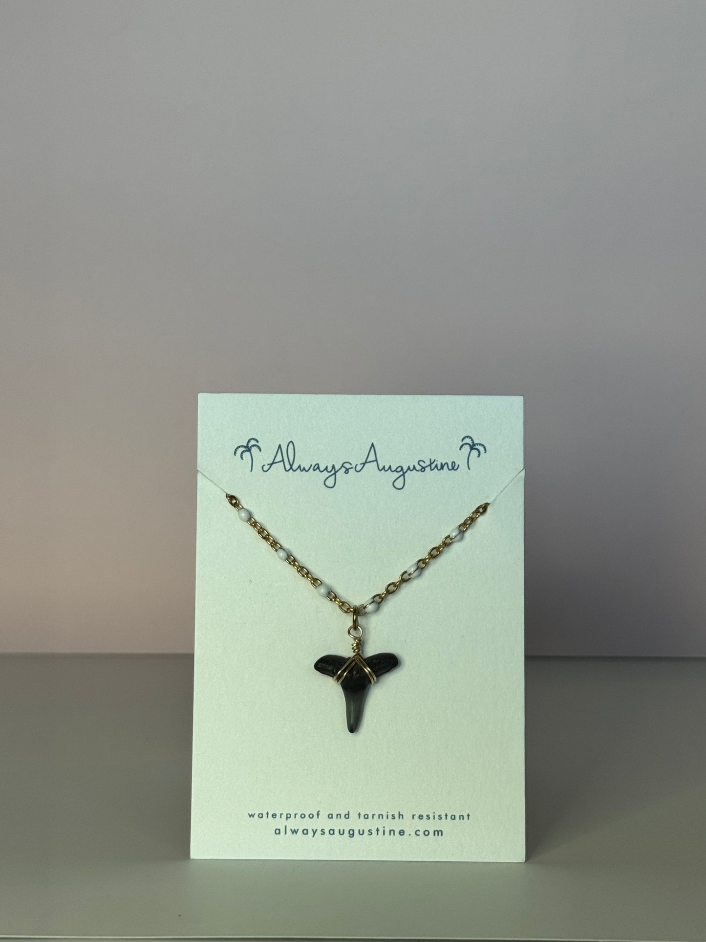 Emma Shark Tooth Necklace (A)