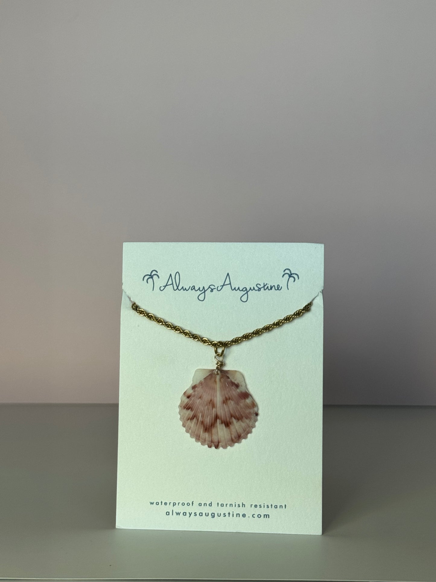 Scallop Shell Rope Chain Necklace