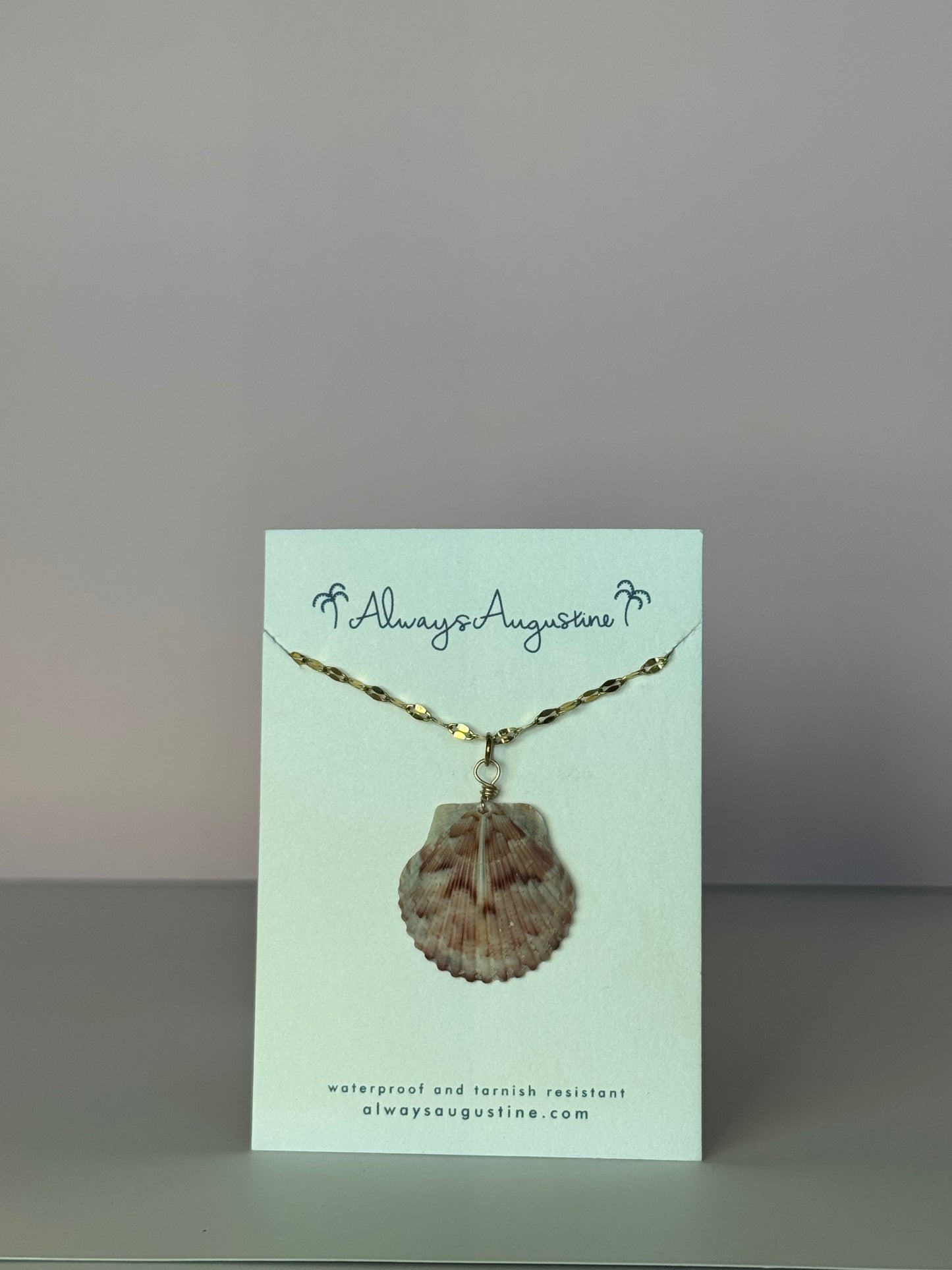 Scallop Shell Necklace (D)
