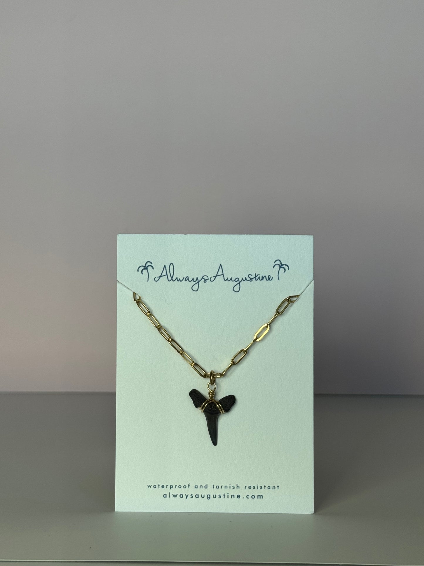 Shark Tooth Paperclip Chain Necklace (B)