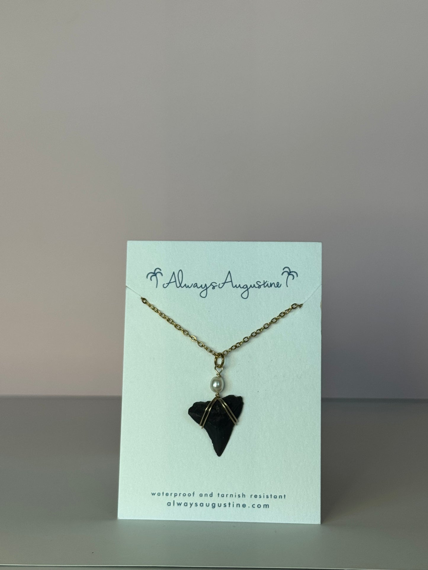 Shark Tooth Necklace (F)