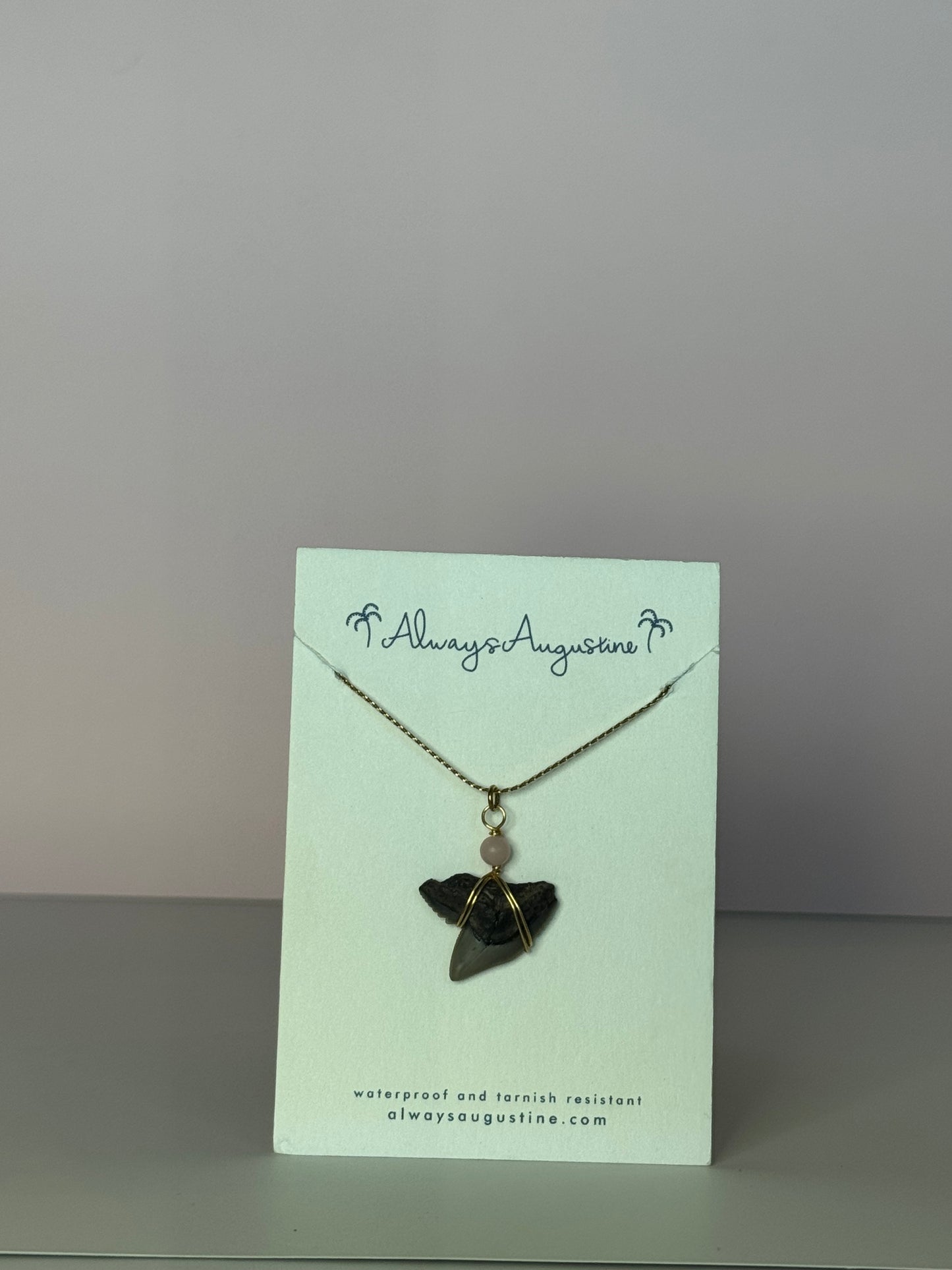 Shark Tooth Necklace (G)