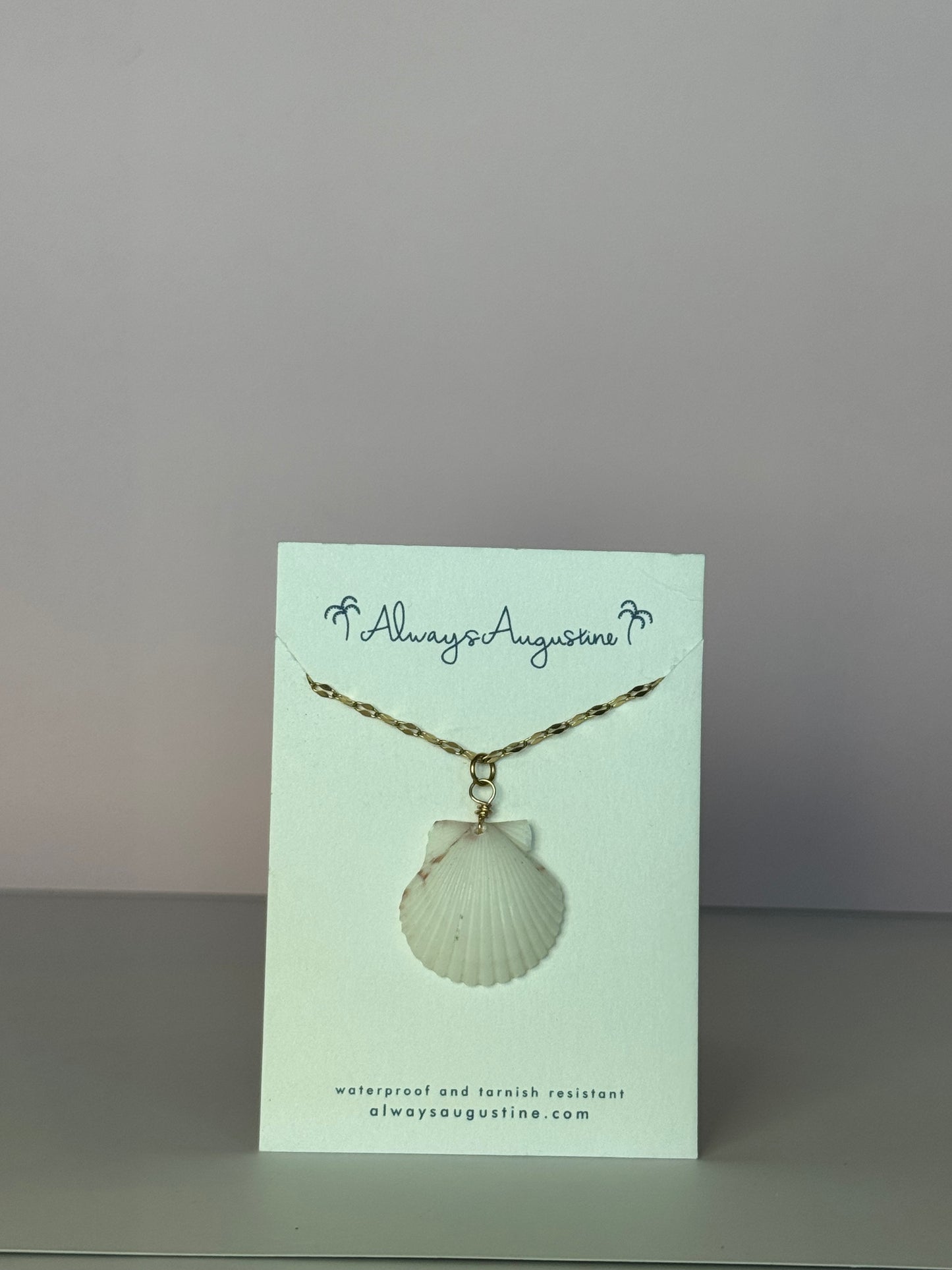 Scallop Shell Necklace (J)