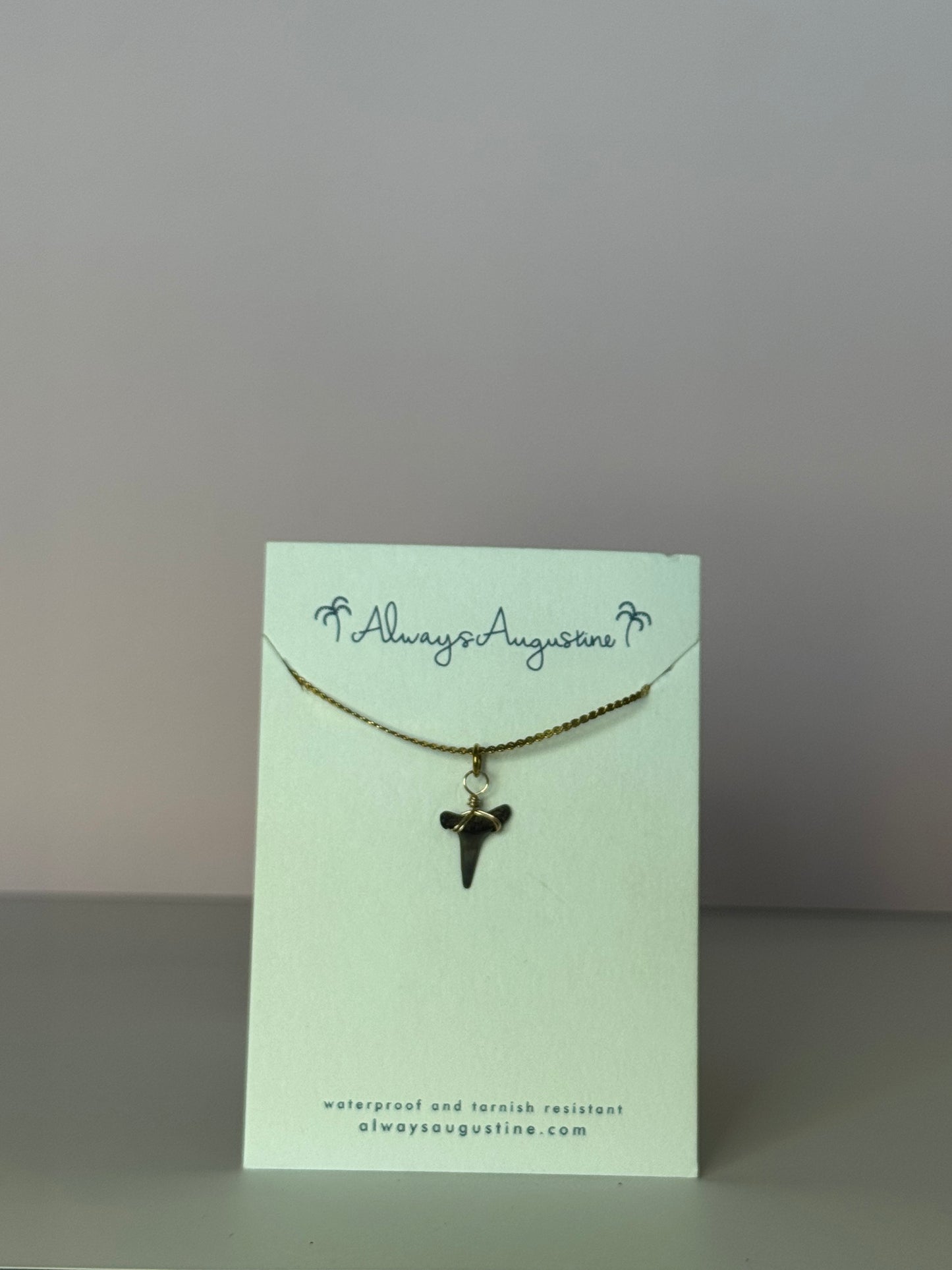 Shark Tooth Necklace (O)