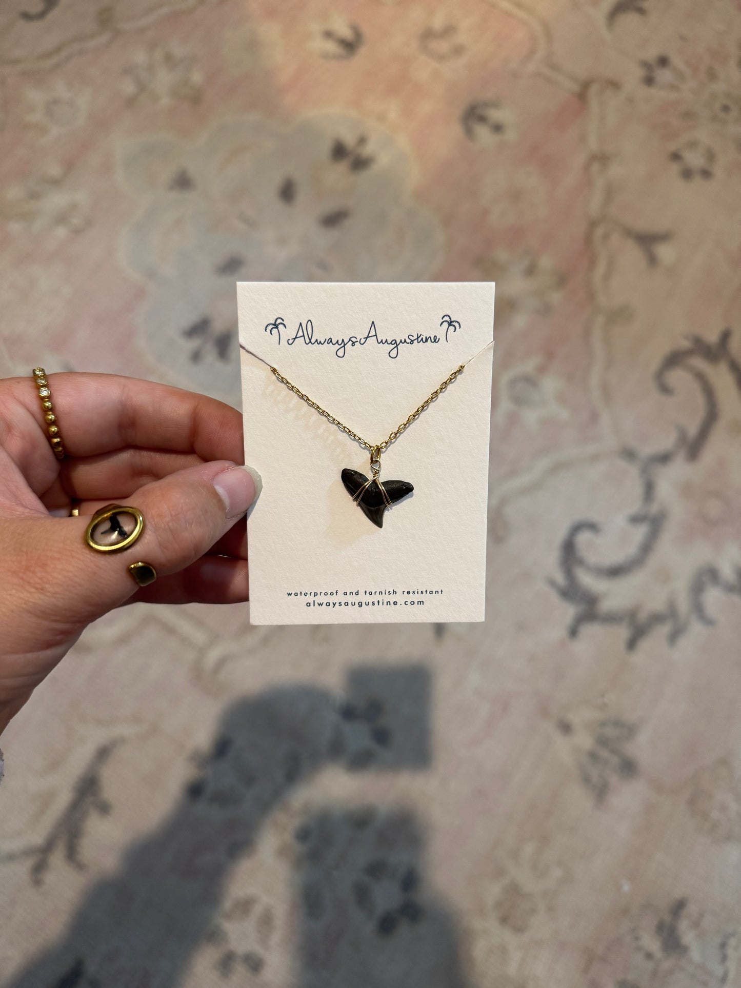 Shark Tooth Necklace (V)