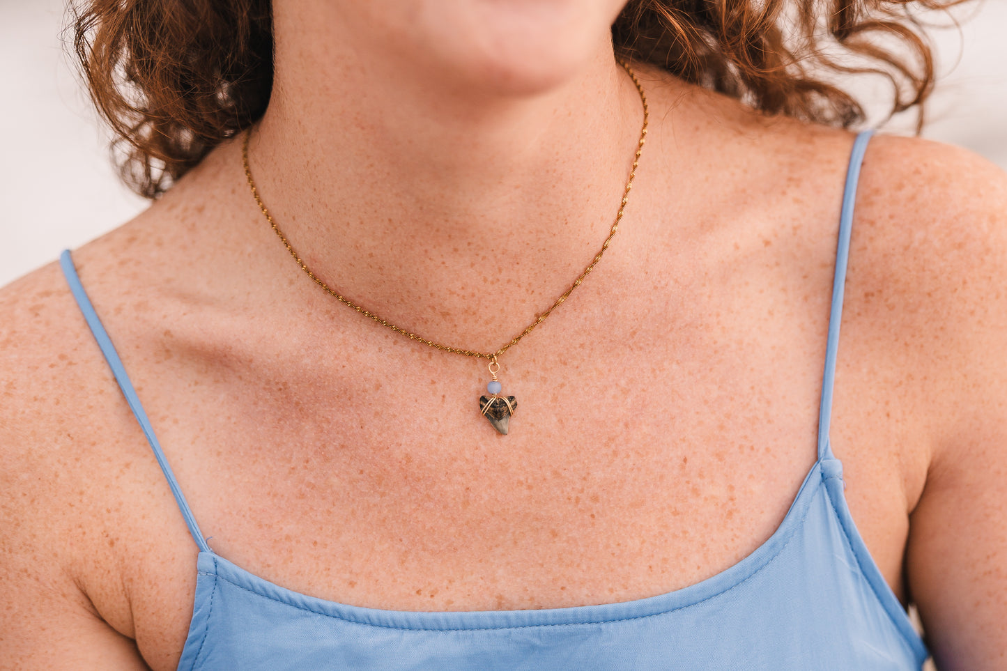 Daisy | Real Shark Tooth Necklace -- Always Augustine
