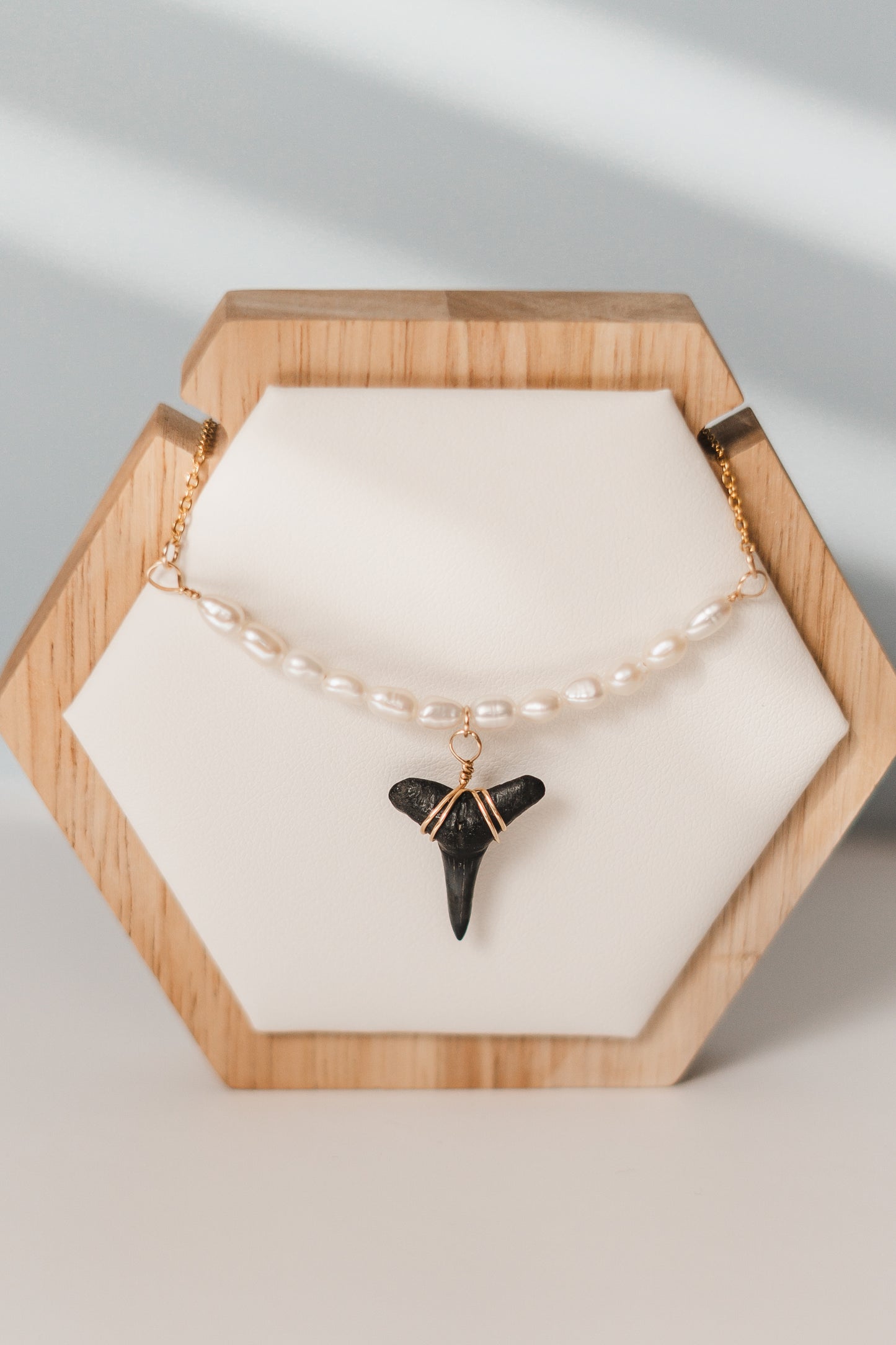 Amelia | Real Shark Tooth Necklace -- Always Augustine