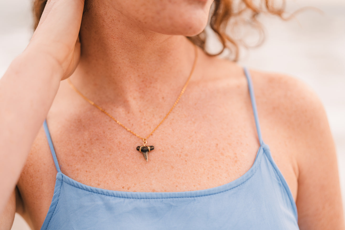Caroline | Real Shark Tooth Necklace -- Always Augustine