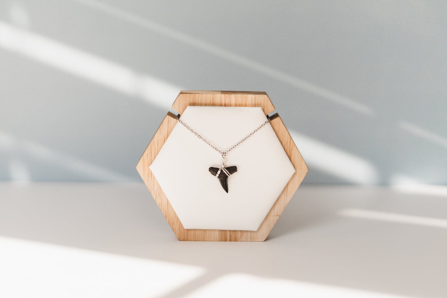 Caroline | Real Shark Tooth Necklace -- Always Augustine