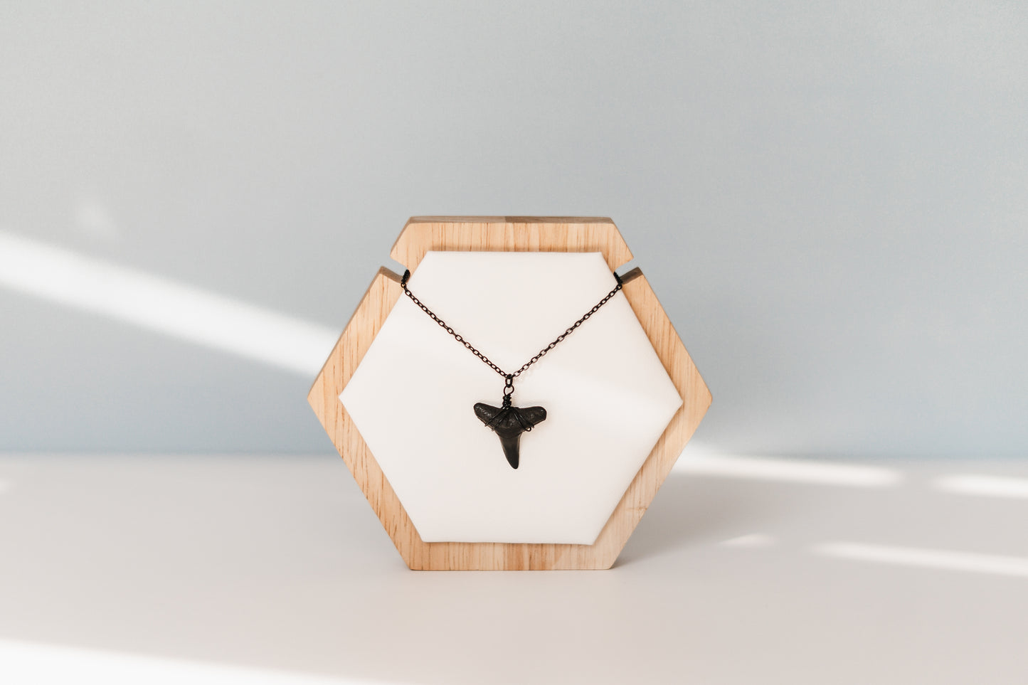 Onyx Men's Shark Tooth Necklace | Waterproof -- Always Augustine