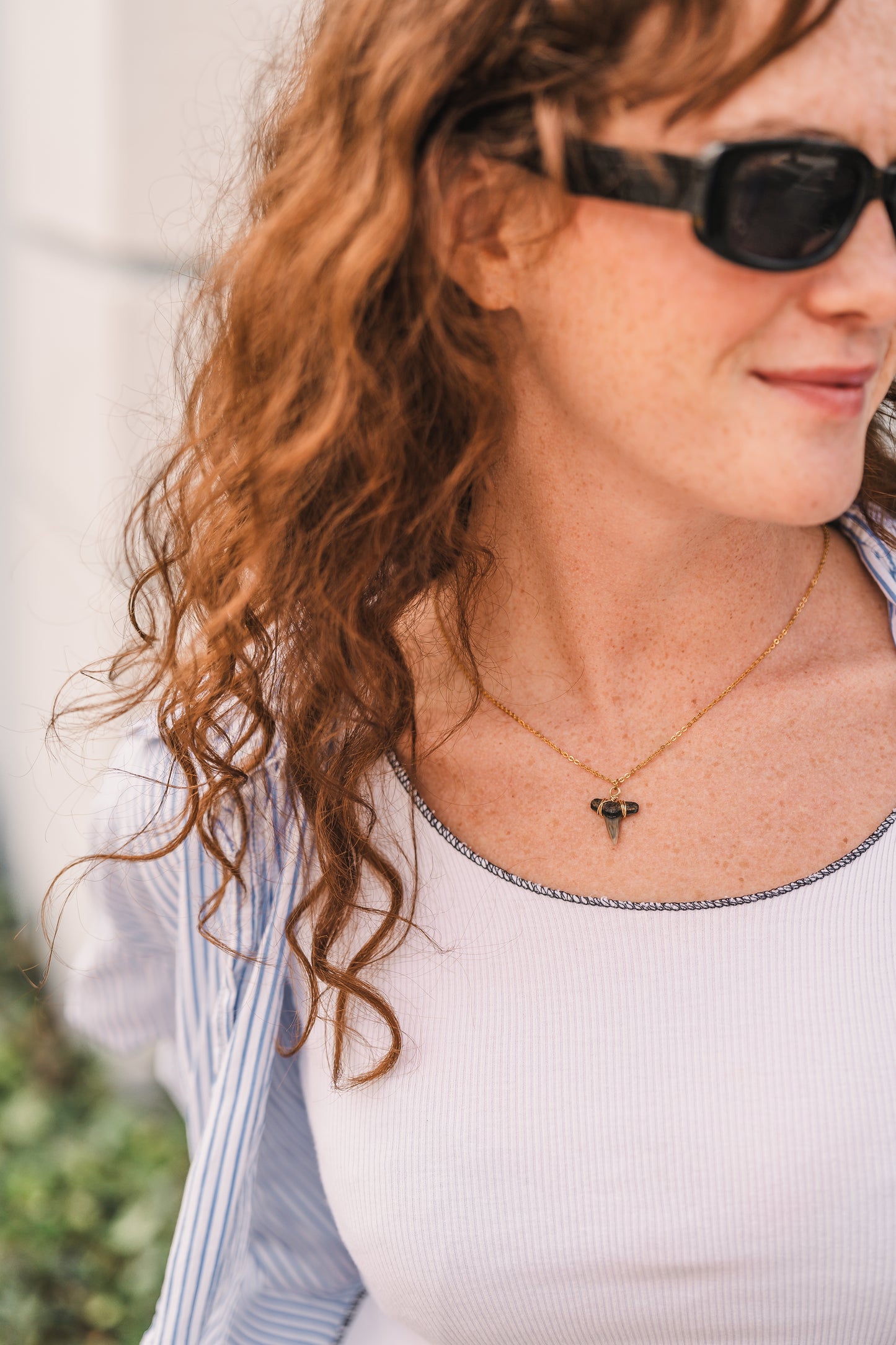 Caroline | Real Shark Tooth Necklace -- Always Augustine