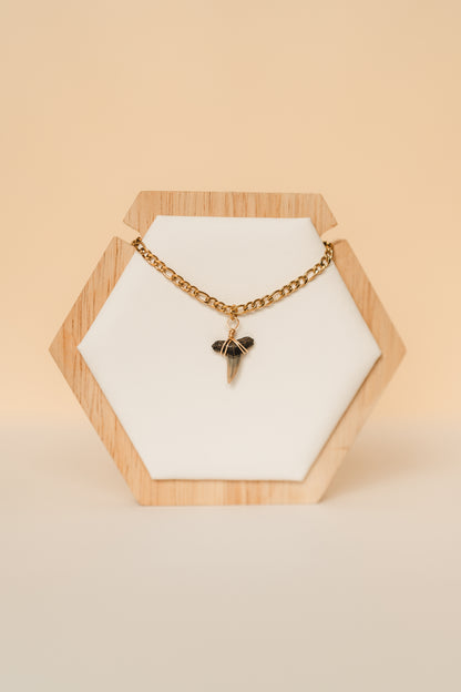 Haven | Waterproof Shark Tooth Necklace