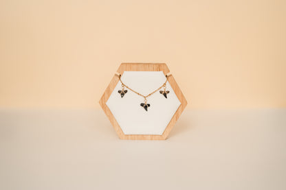 Charlotte | Waterproof Shark Tooth Necklace