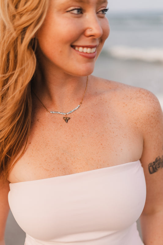 Amelia | Real Shark Tooth Necklace -- Always Augustine