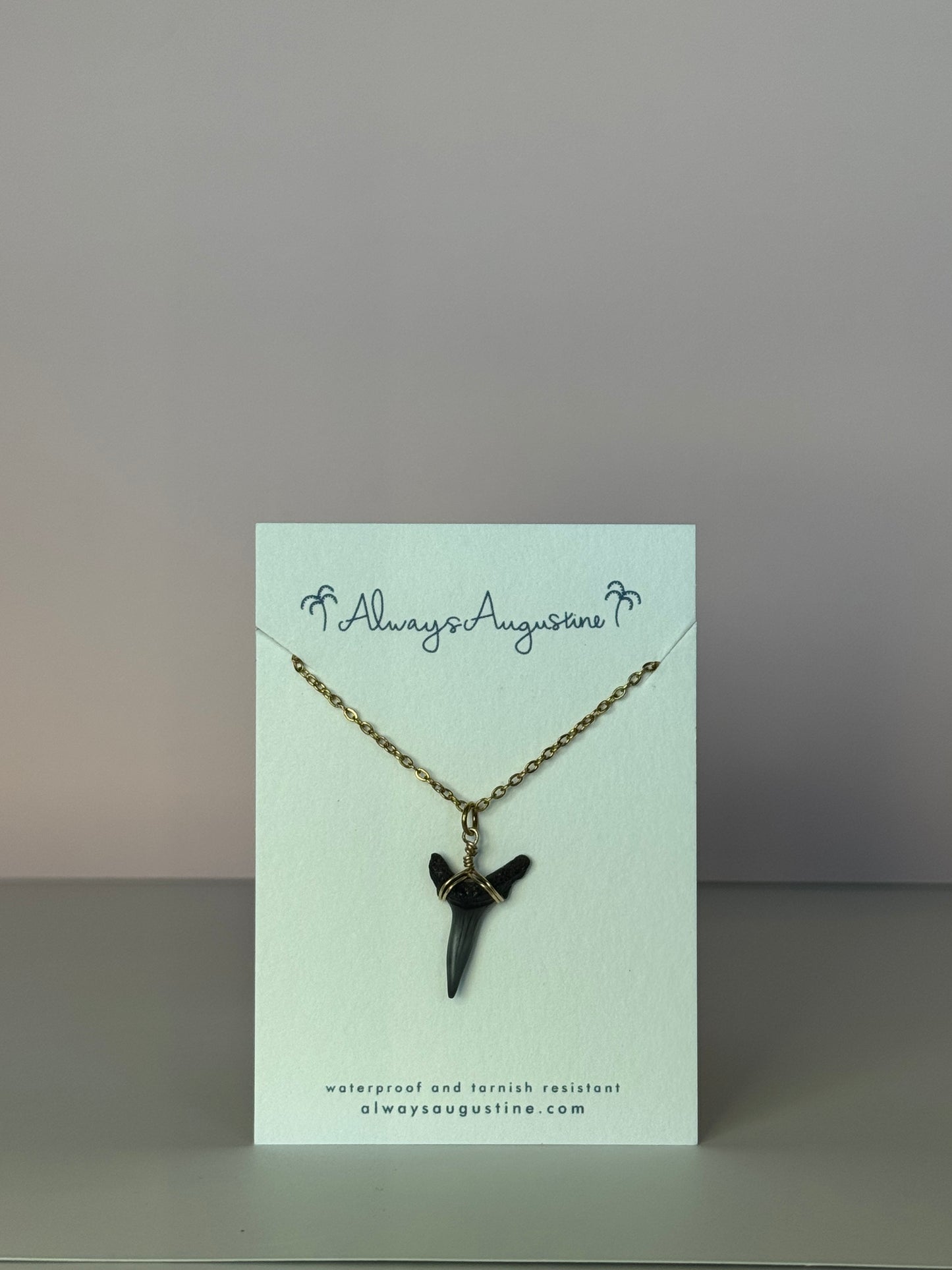 Sand Tiger Shark Tooth Necklace