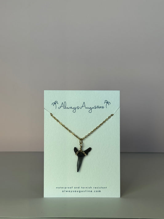 Sand Tiger Shark Tooth Necklace