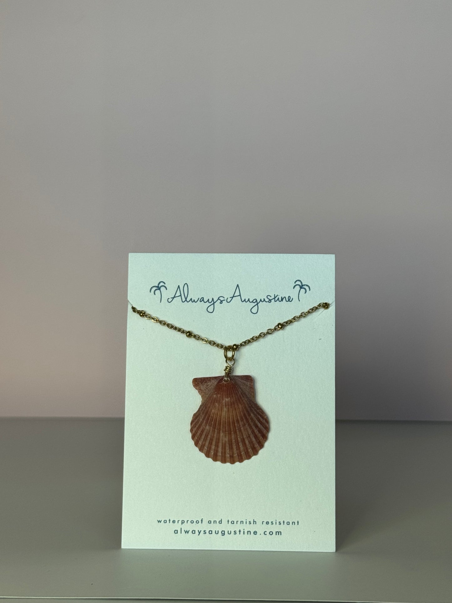 Scallop Shell Satellite Chain Necklace