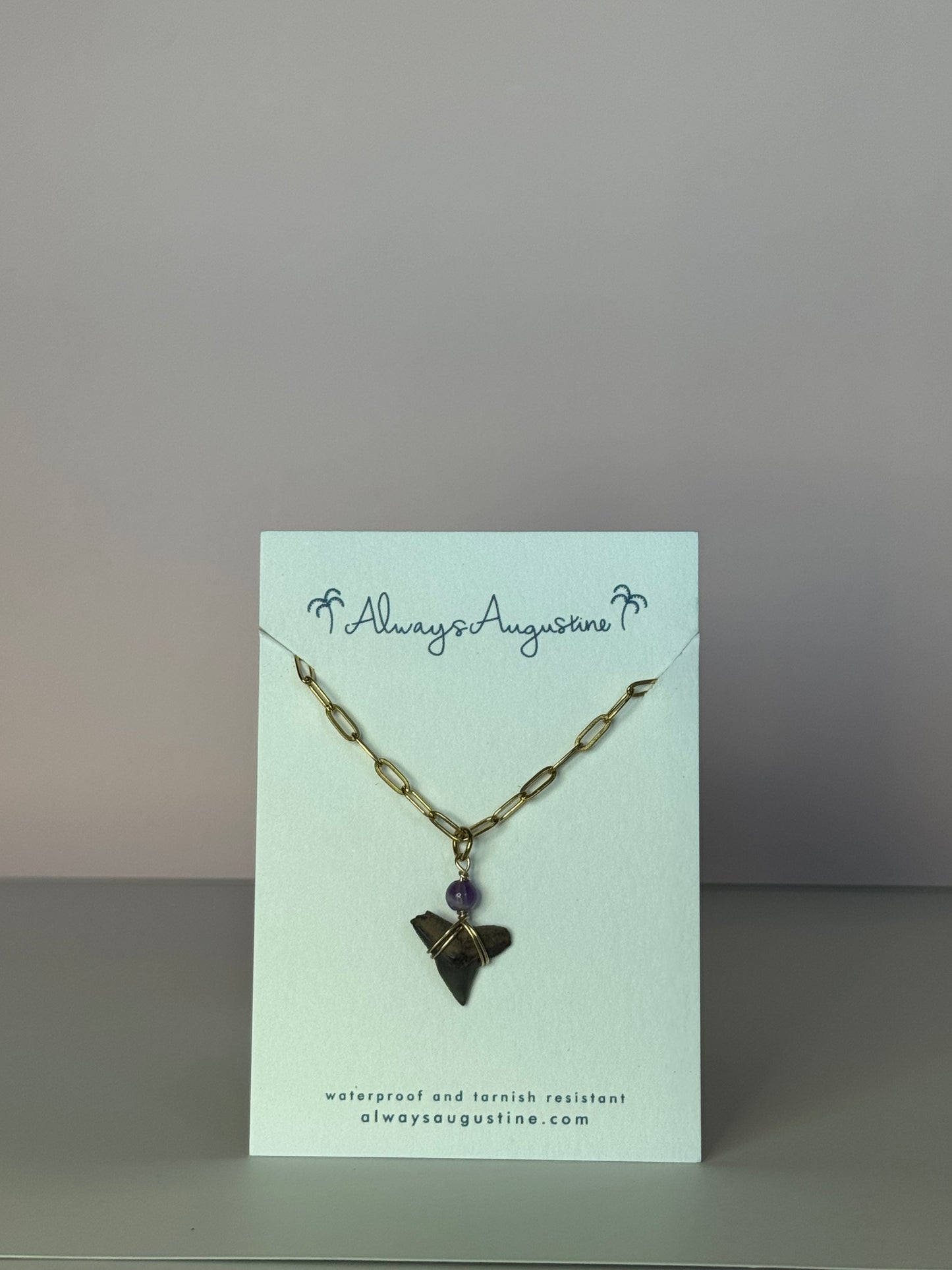 Shark Tooth Paperclip Chain Necklace
