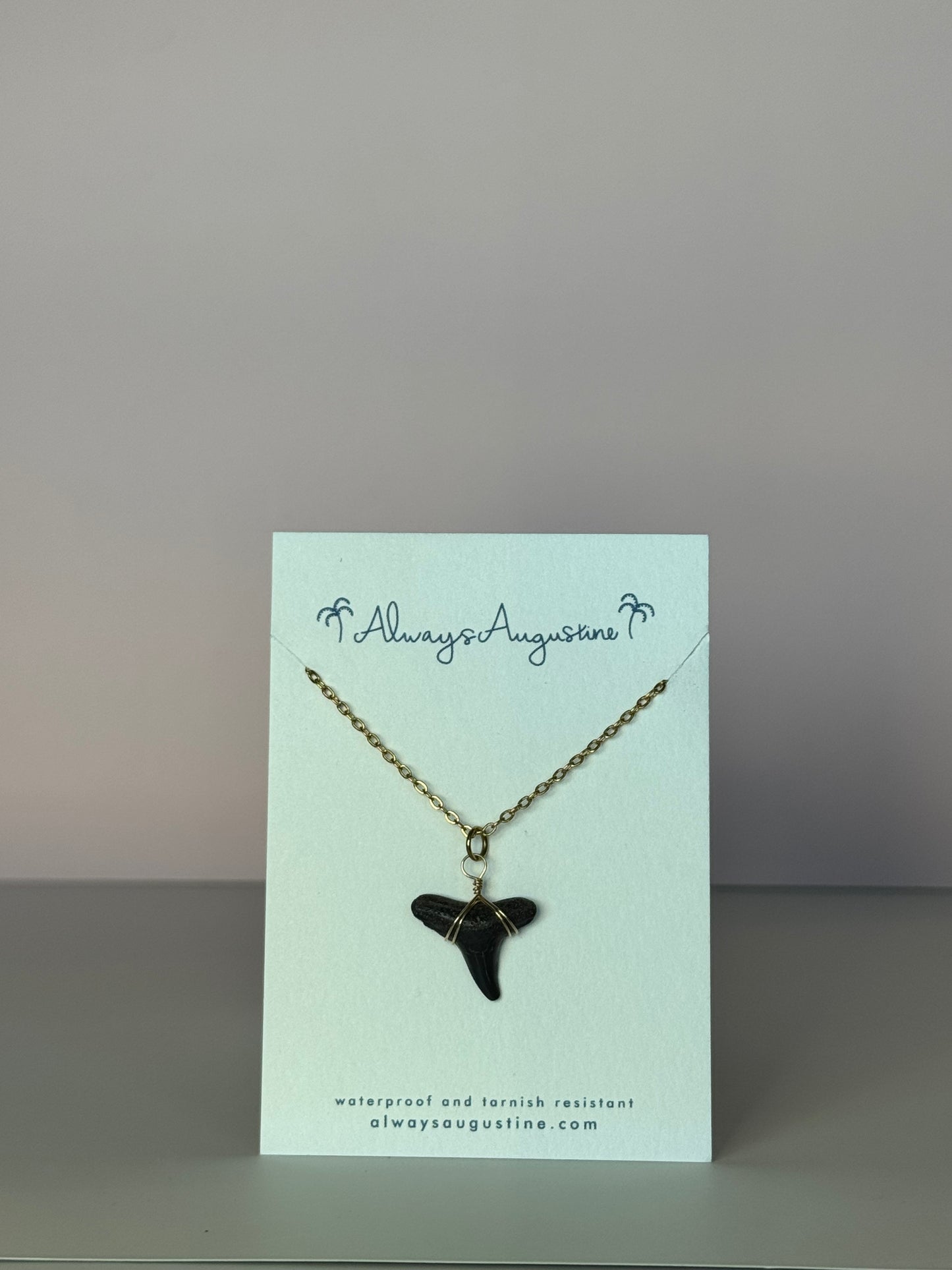 Shark Tooth Necklace (B)
