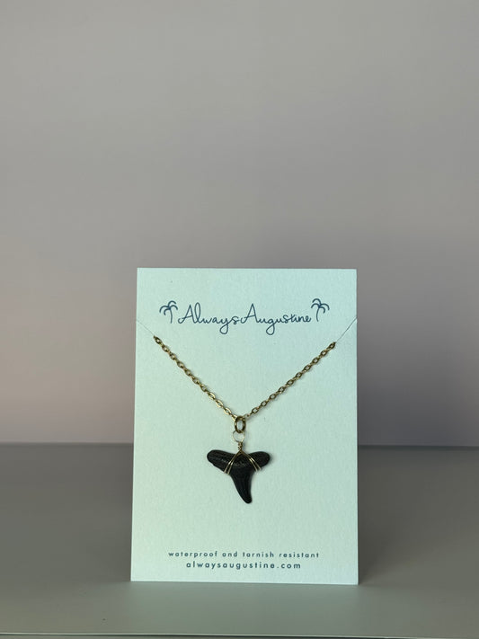 Shark Tooth Necklace (B)