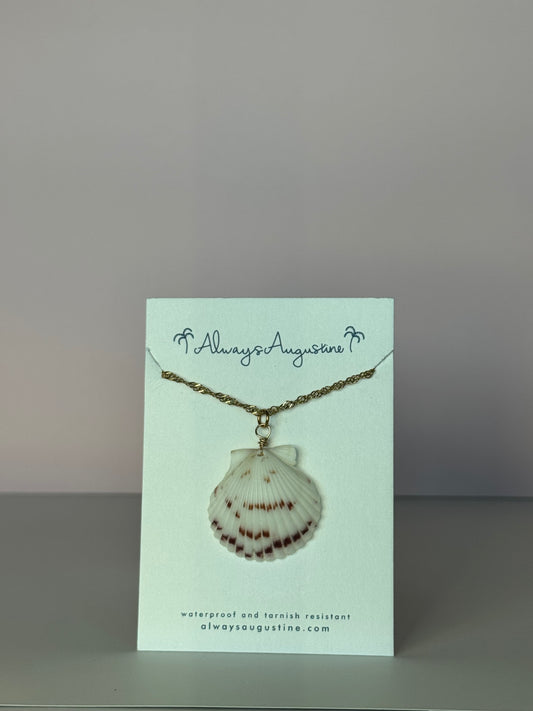 Scallop Shell Necklace (C)