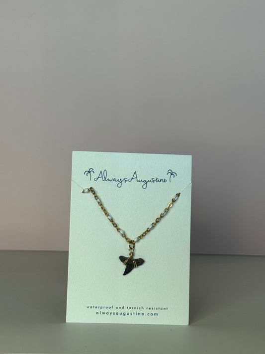 Shark Tooth Necklace (K)