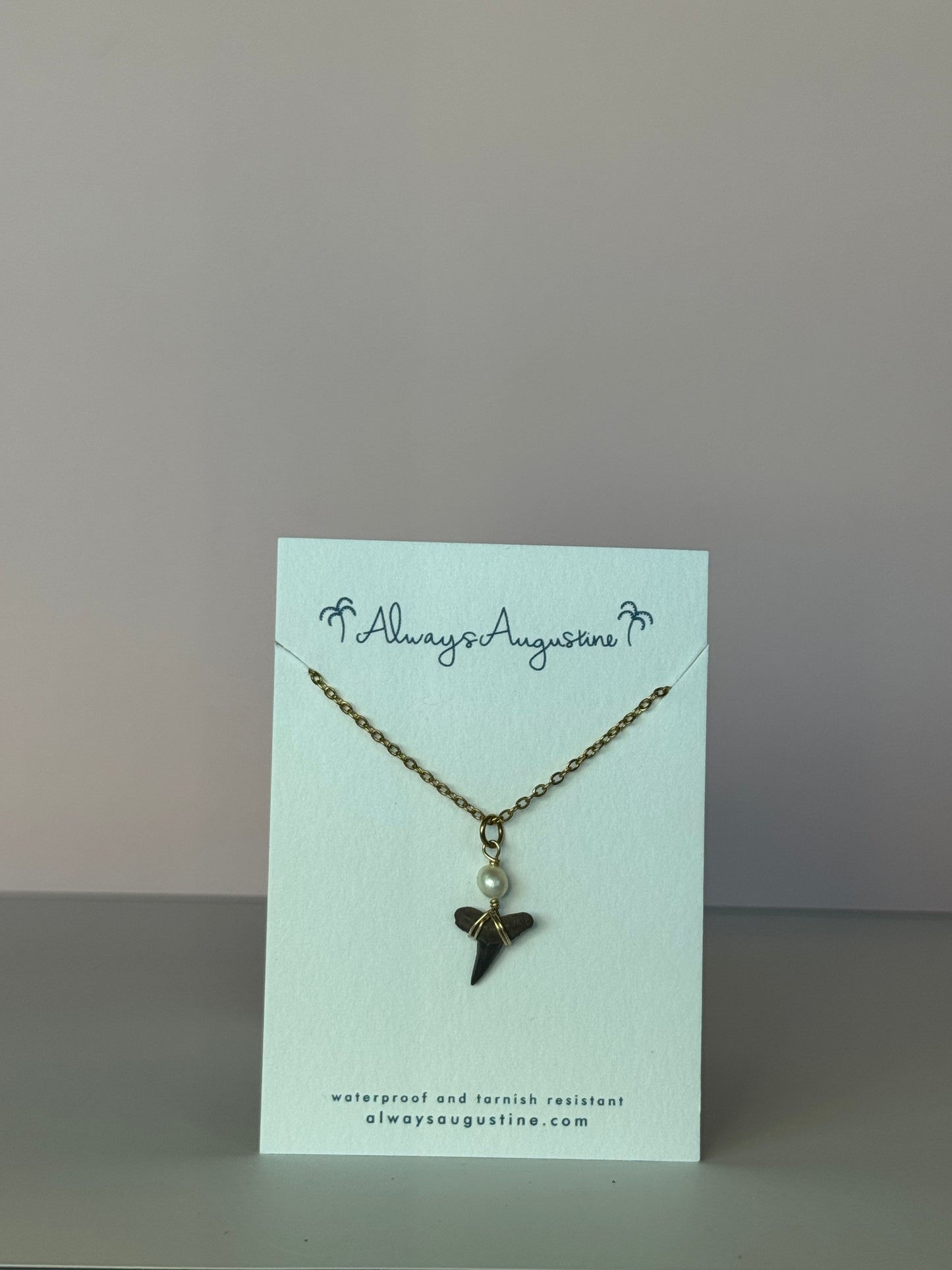 Shark Tooth Necklace (M)