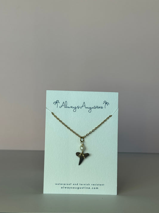 Shark Tooth Necklace (M)