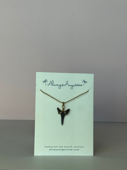 Shark Tooth Necklace (N)