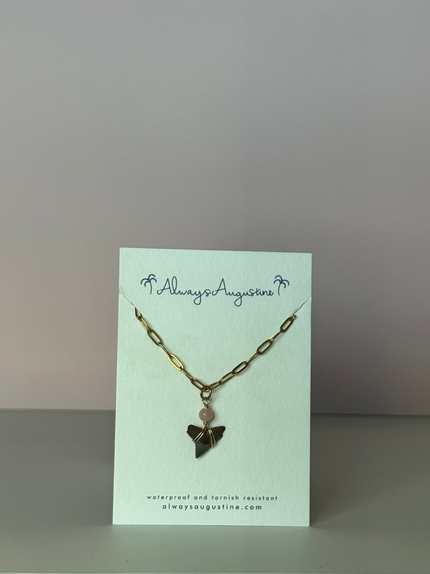 Shark Tooth Necklace (P)