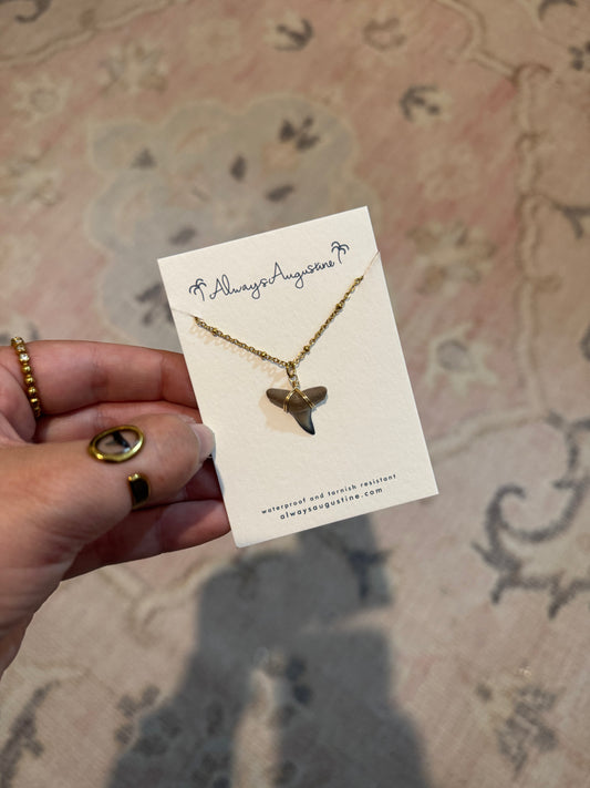 Shark Tooth Necklace (X)