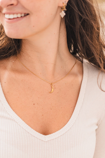 Renew - Anchored Collection by Always Augustine